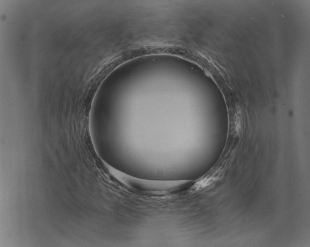 X0000073721157200608171156