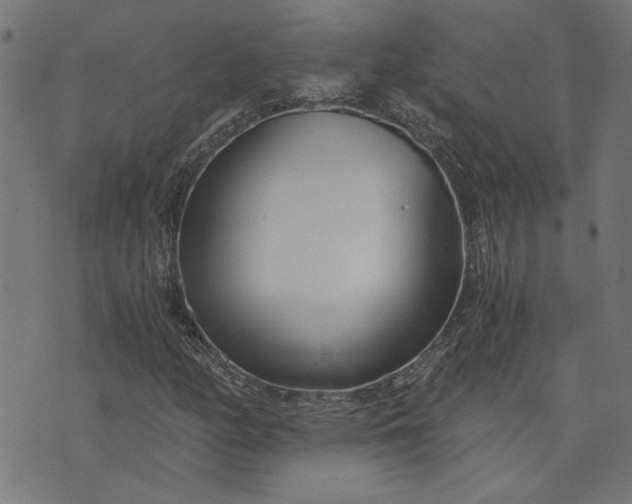 X0000073721158200608171156