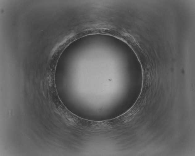 X0000073721159200608171156