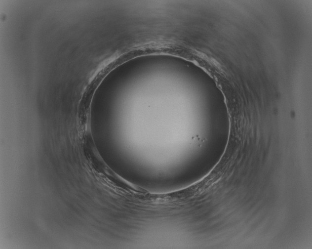 X0000073721160200608171156