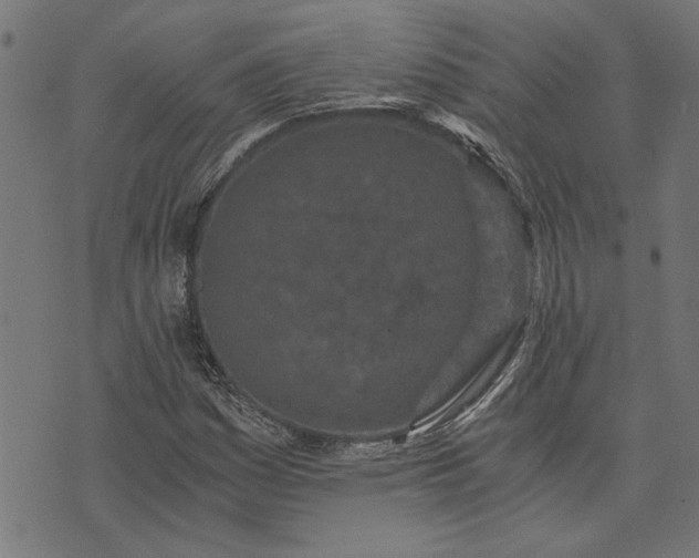 X0000073721161200608171156