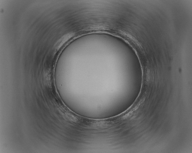 X0000073721162200608171156