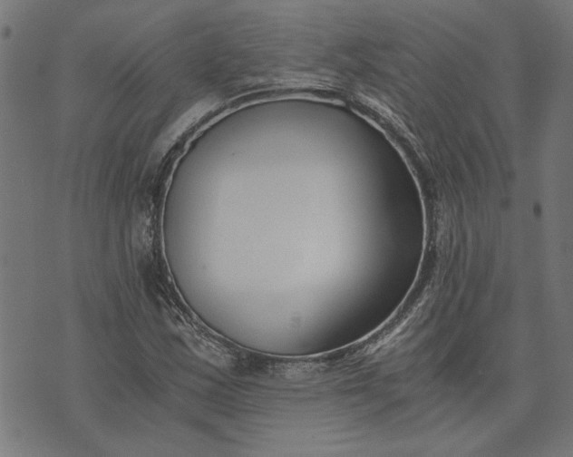 X0000073721163200608171156