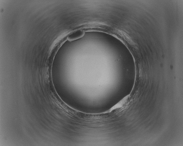 X0000073721164200608171156