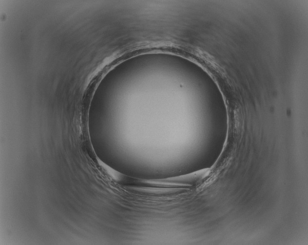 X0000073721165200608171156