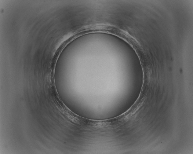 X0000073721166200608171156