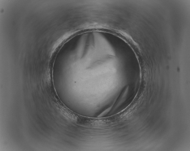 X0000073721167200608171156