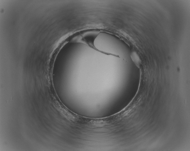 X0000073721168200608171156