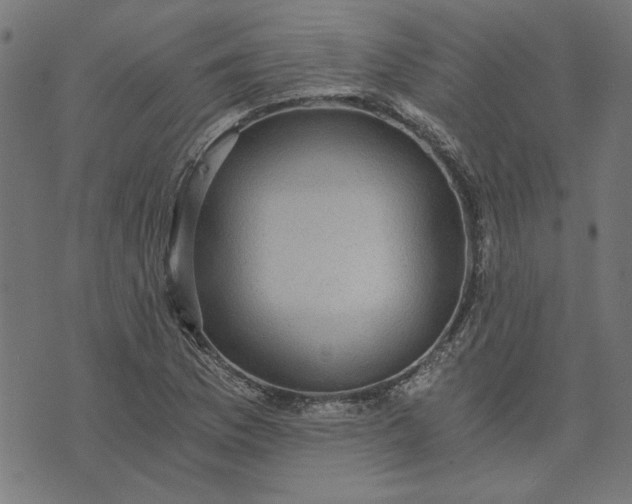 X0000073721169200608171156