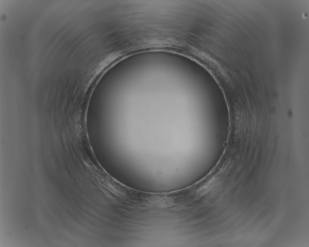 X0000073721170200608171156