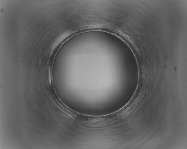 X0000073721171200608171156