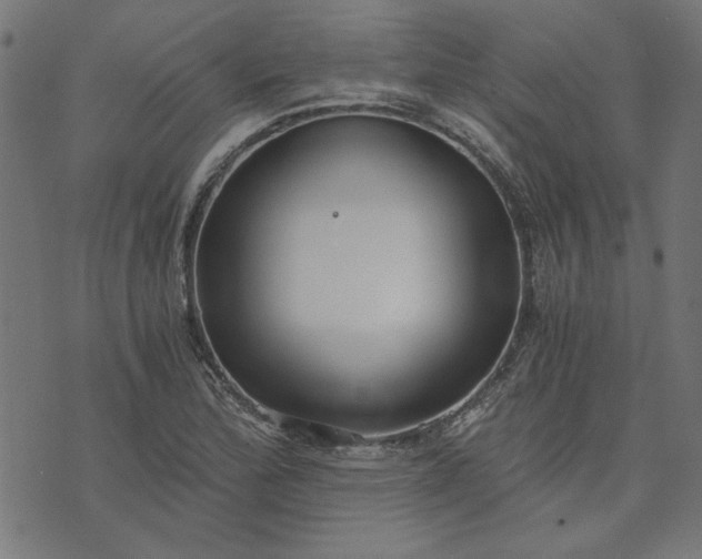 X0000073721172200608171156