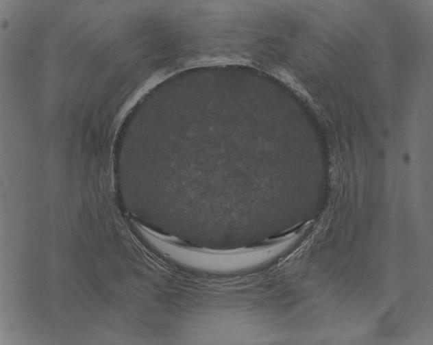 X0000073721173200608171156