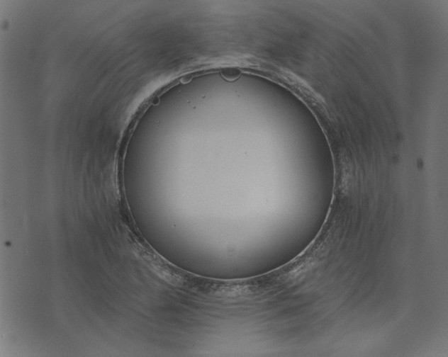 X0000073721174200608171156