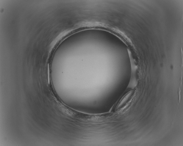 X0000073721175200608171156