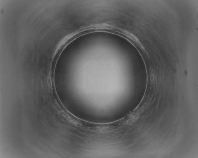 X0000073721176200608171156