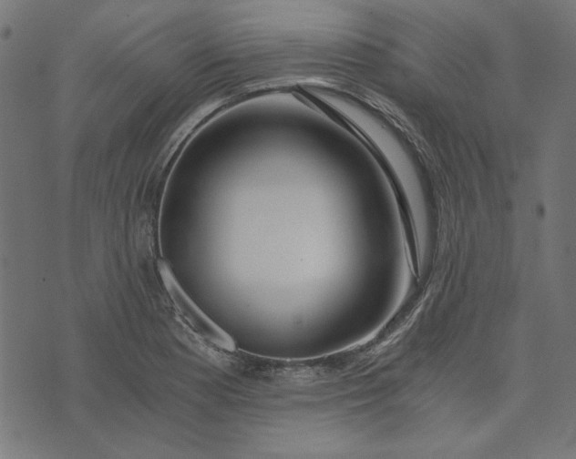 X0000073721177200608171156