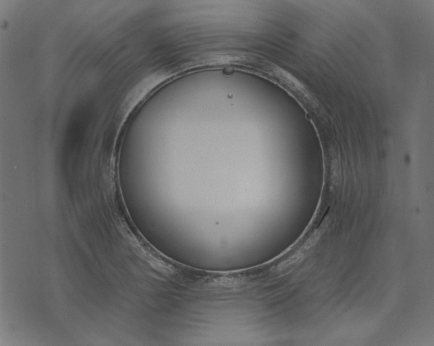 X0000073721178200608171156