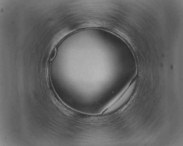 X0000073721179200608171156