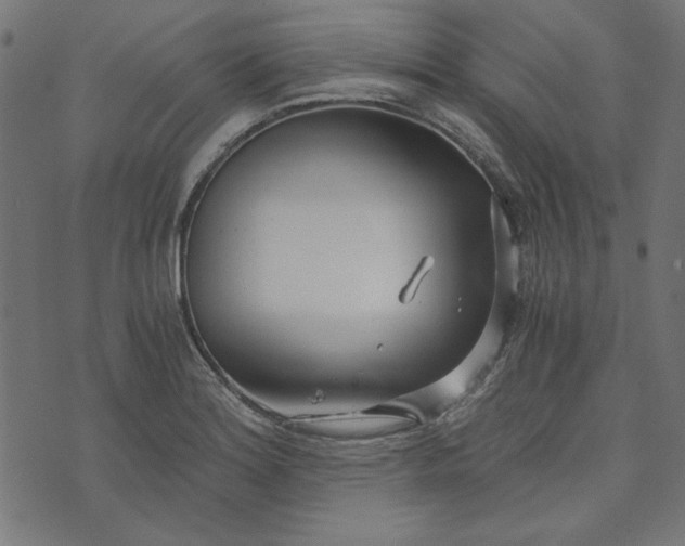 X0000073721180200608171156