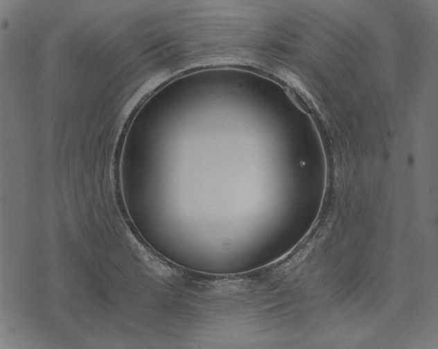 X0000073721181200608171156