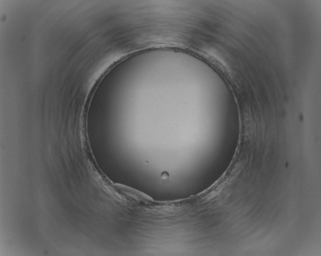 X0000073721182200608171156