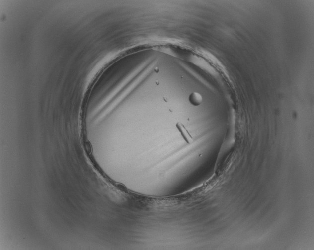 X0000073721183200608171156