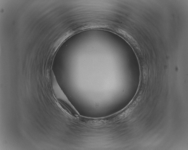 X0000073721185200608171155