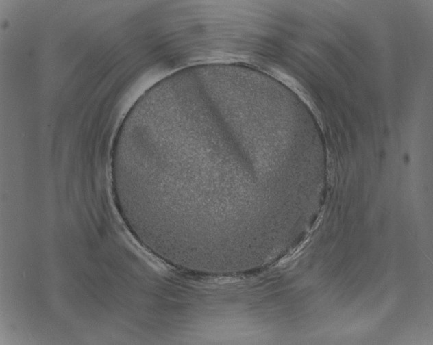 X0000073721187200608171155