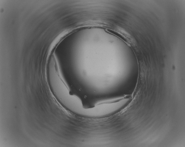 X0000073721188200608171155