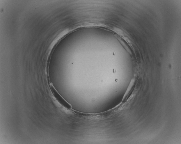 X0000073721189200608171155