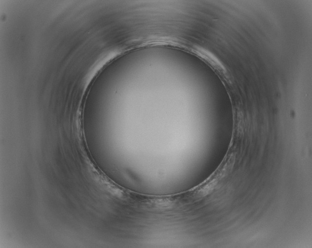 X0000073721190200608171155