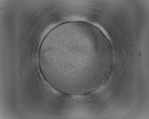 X0000073721191200608171155