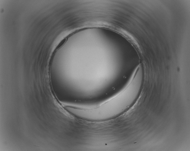 X0000073721192200608171155