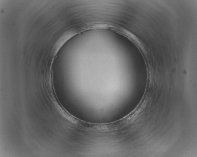 X0000073721194200608171155