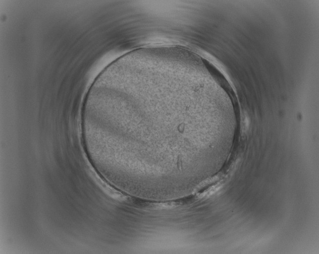 X0000073721195200608171155