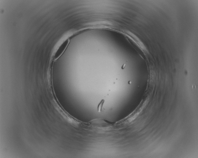 X0000073721196200608171155