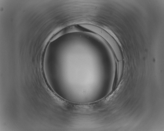 X0000073721197200608171155