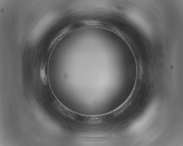 X0000073721198200608171155