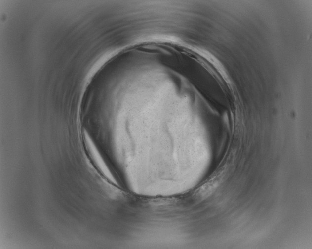 X0000073721199200608171155