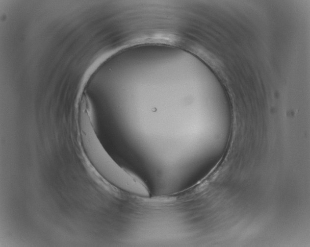 X0000073721200200608171155