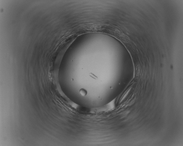 X0000073721202200608171154