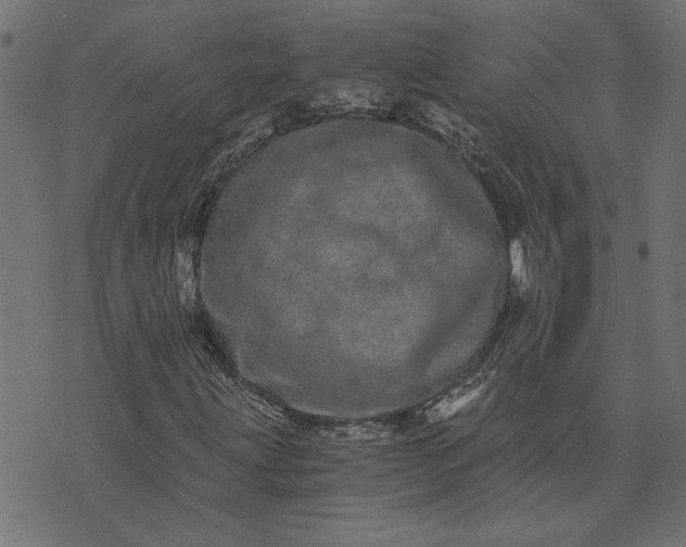 X0000073721203200608171154