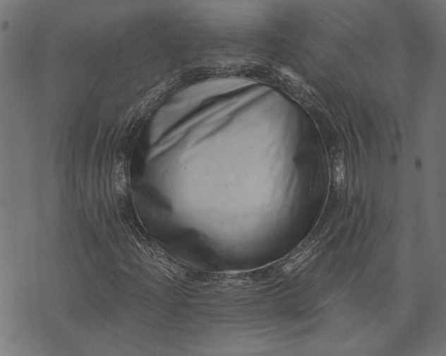 X0000073721204200608171155