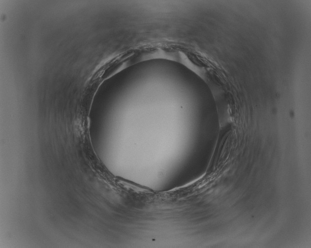 X0000073721206200608171155