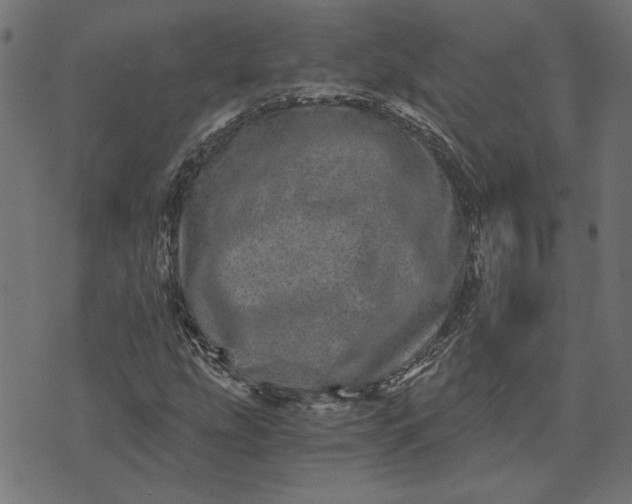 X0000073721207200608171155