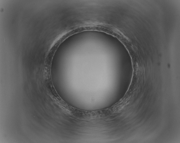 X0000073721208200608171155