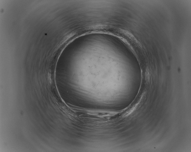 X0000073721209200608171155