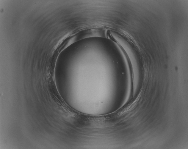 X0000073721210200608171155