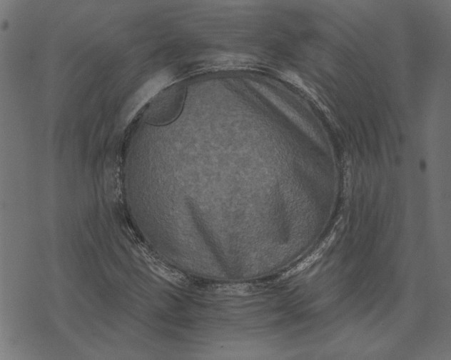 X0000073721211200608171155